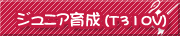 ジュニア育成(Team 310V）
