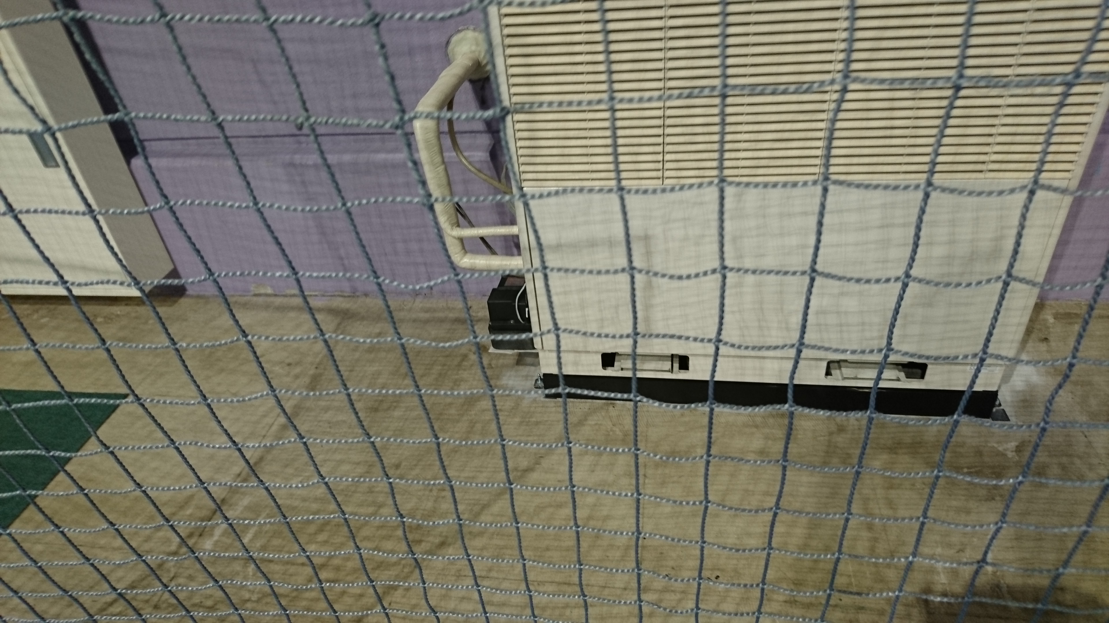 通路のカーペットも…